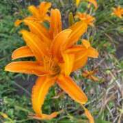 ヒメ日記 2025/08/11 18:49 投稿 まよい 新宿泡洗体デラックスエステ