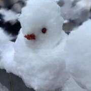 ヒメ日記 2026/02/08 13:32 投稿 夜風涼風 性の極み妻 好き者たちの宴