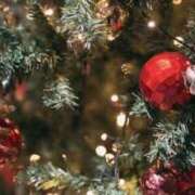 ヒメ日記 2025/12/25 20:11 投稿 あんな 千葉ミセスアロマ（ユメオト）