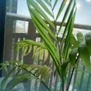 ヒメ日記 2025/11/07 07:57 投稿 まちこ 熟女の風俗最終章 錦糸町店