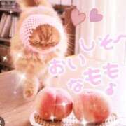 ヒメ日記 2026/03/07 23:35 投稿 まちこ 熟女の風俗最終章 錦糸町店