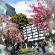 ヒメ日記 2026/03/12 16:35 投稿 まちこ 熟女の風俗最終章 錦糸町店