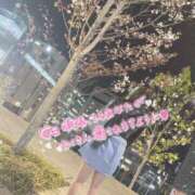 ヒメ日記 2026/04/29 15:02 投稿 ナナオ※超敏感体質 ドMな奥様 大阪本店