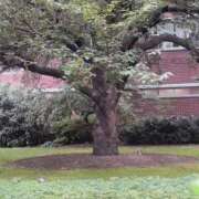 ヒメ日記 2025/09/17 04:39 投稿 一姫(イツキ) グランドオペラ名古屋