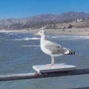 ヒメ日記 2025/10/13 22:52 投稿 一姫(イツキ) グランドオペラ名古屋