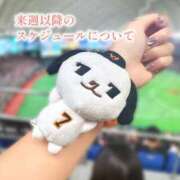 ヒメ日記 2026/05/12 16:59 投稿 愛舞 麗奈 東京貴楼館