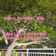 ヒメ日記 2026/05/13 02:09 投稿 愛舞 麗奈 東京貴楼館