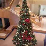 ヒメ日記 2025/11/24 21:21 投稿 愛舞 麗奈 横浜貴楼館