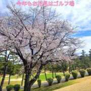 ヒメ日記 2026/04/03 15:01 投稿 愛舞 麗奈 横浜貴楼館