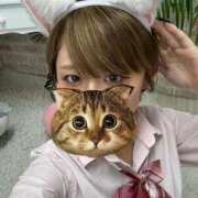 ヒメ日記 2025/11/06 03:23 投稿 破天荒もんち にゃんだ☆full☆MIX（にゃんだふるみっくす）