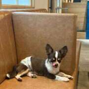 ヒメ日記 2026/04/21 09:47 投稿 YURIA GRAND STAGE