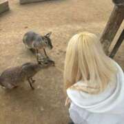 ヒメ日記 2025/11/12 04:49 投稿 まよ デザインプリズム新宿