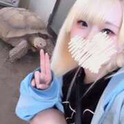 ヒメ日記 2025/11/22 04:49 投稿 まよ デザインプリズム新宿