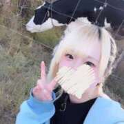 ヒメ日記 2025/12/01 00:20 投稿 まよ デザインプリズム新宿