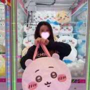 ヒメ日記 2026/03/13 15:02 投稿 さくら プリンセスセレクション姫路