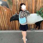 ヒメ日記 2026/03/17 15:51 投稿 さくら プリンセスセレクション姫路