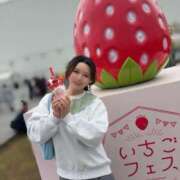 ヒメ日記 2026/03/25 19:28 投稿 さくら プリンセスセレクション姫路