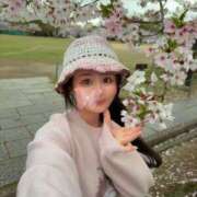 さくら お散歩🌸 プリンセスセレクション姫路