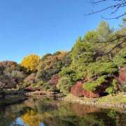 茉希沢 りり 癒し🍂 テレジア東京