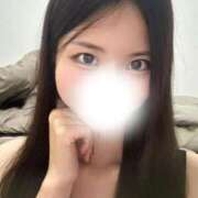 ヒメ日記 2025/10/28 14:25 投稿 さんご IRIS(岐阜)