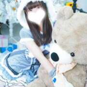 もね やほ コスプレアカデミー