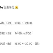 西野ほのか 来週の出勤予定 🦖💞 渋谷ガーデン