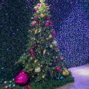 西野ほのか 出勤します🧚🏻♀️ 渋谷ガーデン