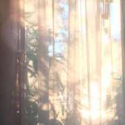 ヒメ日記 2026/03/31 22:22 投稿 西野ほのか 渋谷ガーデン