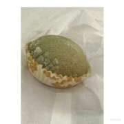 ヒメ日記 2025/09/21 17:34 投稿 たお マリンマリン