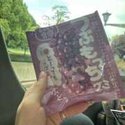 ヒメ日記 2025/10/08 13:04 投稿 たお マリンマリン