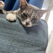 ヒメ日記 2025/09/14 09:55 投稿 ドレミ 千葉美女革命