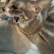 ヒメ日記 2025/09/18 18:21 投稿 ドレミ 千葉美女革命