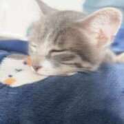 ヒメ日記 2025/09/20 17:41 投稿 ドレミ 千葉美女革命