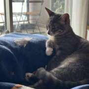 ヒメ日記 2025/09/25 16:03 投稿 ドレミ 千葉美女革命