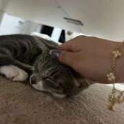 ヒメ日記 2025/10/10 16:00 投稿 ドレミ 千葉美女革命