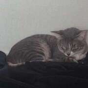 ヒメ日記 2025/10/14 14:02 投稿 ドレミ 千葉美女革命