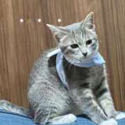 ヒメ日記 2025/10/15 12:41 投稿 ドレミ 千葉美女革命