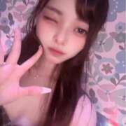 ヒメ日記 2025/11/07 14:51 投稿 ドレミ 千葉美女革命