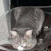 ヒメ日記 2025/11/08 11:46 投稿 ドレミ 千葉美女革命