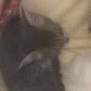 ヒメ日記 2025/11/10 22:31 投稿 ドレミ 千葉美女革命