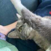 ヒメ日記 2025/11/11 23:21 投稿 ドレミ 千葉美女革命