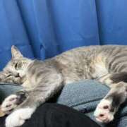 ヒメ日記 2025/11/13 16:22 投稿 ドレミ 千葉美女革命