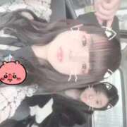 ヒメ日記 2025/11/13 16:51 投稿 ドレミ 千葉美女革命