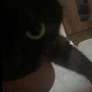 ヒメ日記 2025/11/14 09:01 投稿 ドレミ 千葉美女革命