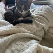 ドレミ 😪 千葉美女革命