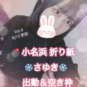 ヒメ日記 2025/08/13 21:09 投稿 さゆき 折り紙 ORIGAMI