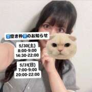 ヒメ日記 2026/05/26 23:57 投稿 さゆき 折り紙 ORIGAMI