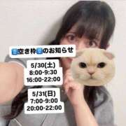 ヒメ日記 2026/05/28 22:27 投稿 さゆき 折り紙 ORIGAMI