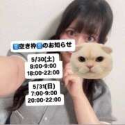 ヒメ日記 2026/05/29 19:48 投稿 さゆき 折り紙 ORIGAMI