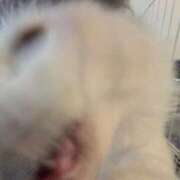 ヒメ日記 2025/10/28 00:09 投稿 おと CECIL